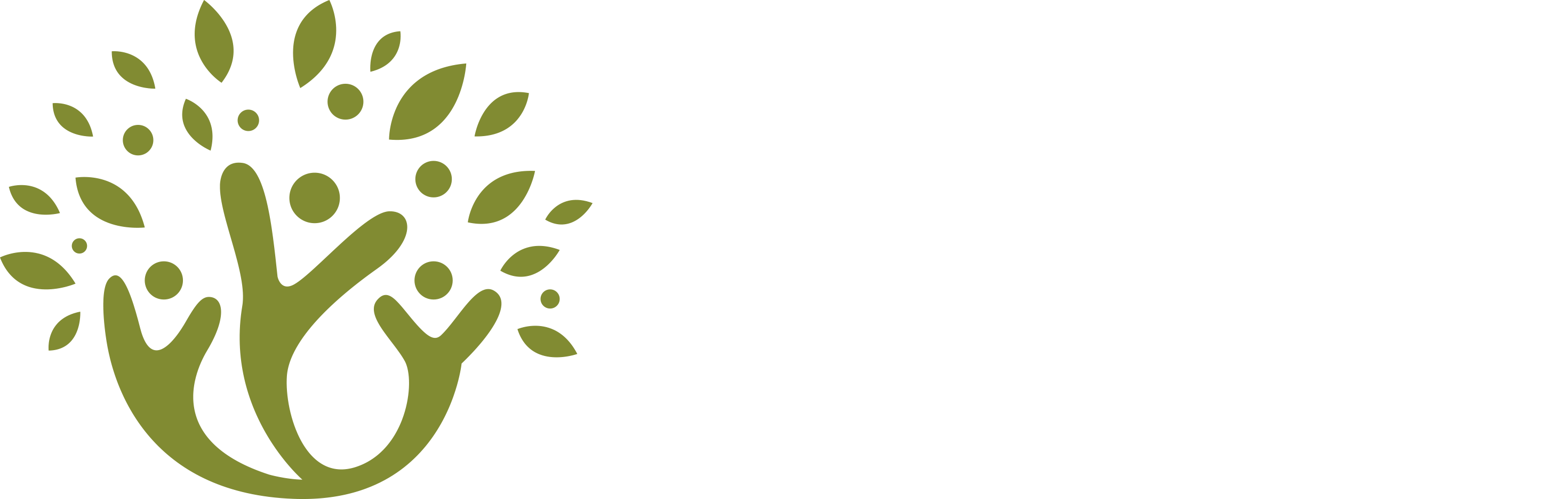 The Lingual Tree
